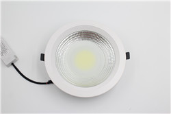 LED Down Light Round 1W